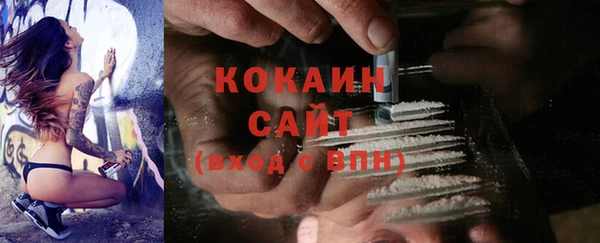 стаф Инта