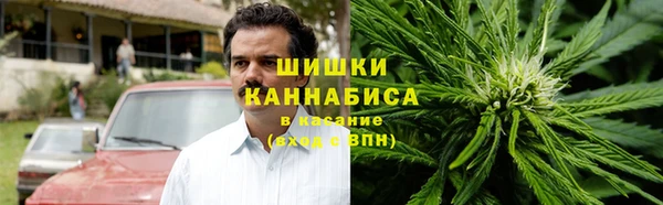дживик Иннополис