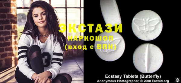 стаф Инта
