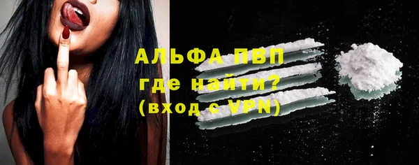 стаф Инта
