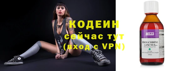 дживик Иннополис