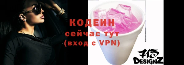 стаф Инта