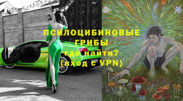стаф Инта