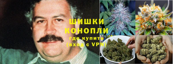 дживик Иннополис