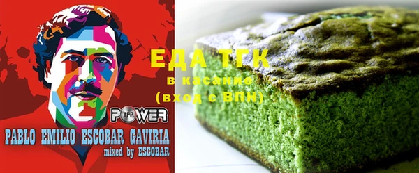 стаф Инта