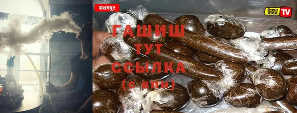 стаф Инта