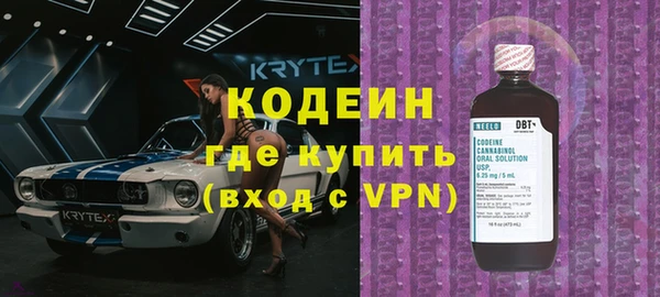 стаф Инта