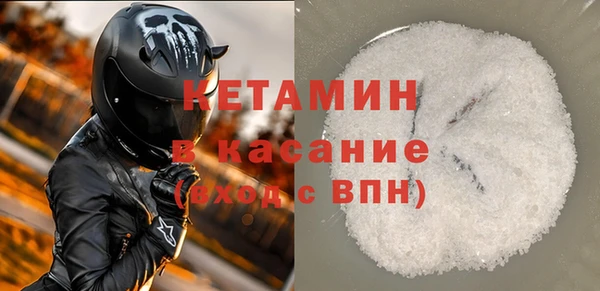 стаф Инта