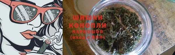 дживик Иннополис