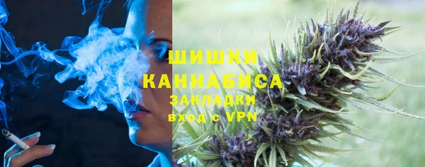стаф Инта