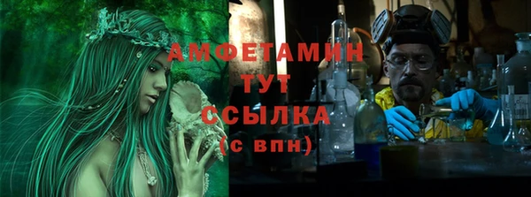 стаф Инта