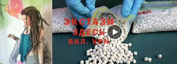 стаф Инта